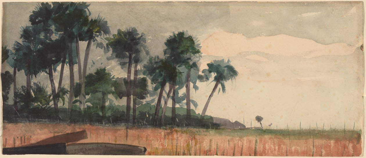 Palmer, røde, 1890. av Winslow Homer