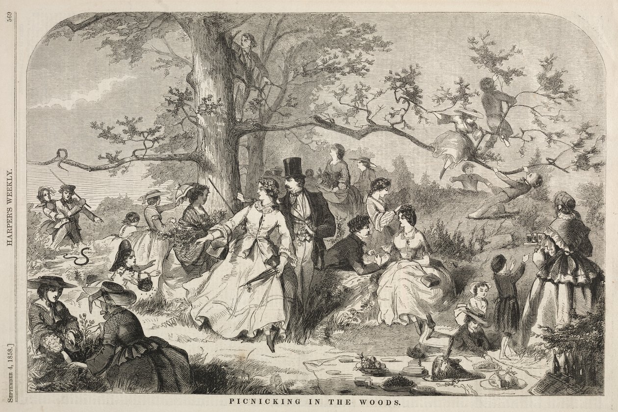 Piknik i skogen av Winslow Homer