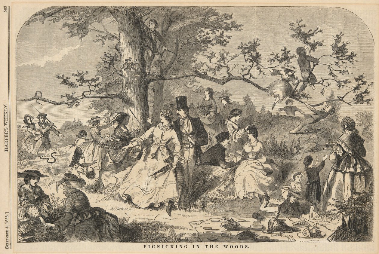 Picknicking in the Woods, fra Harper av Winslow Homer