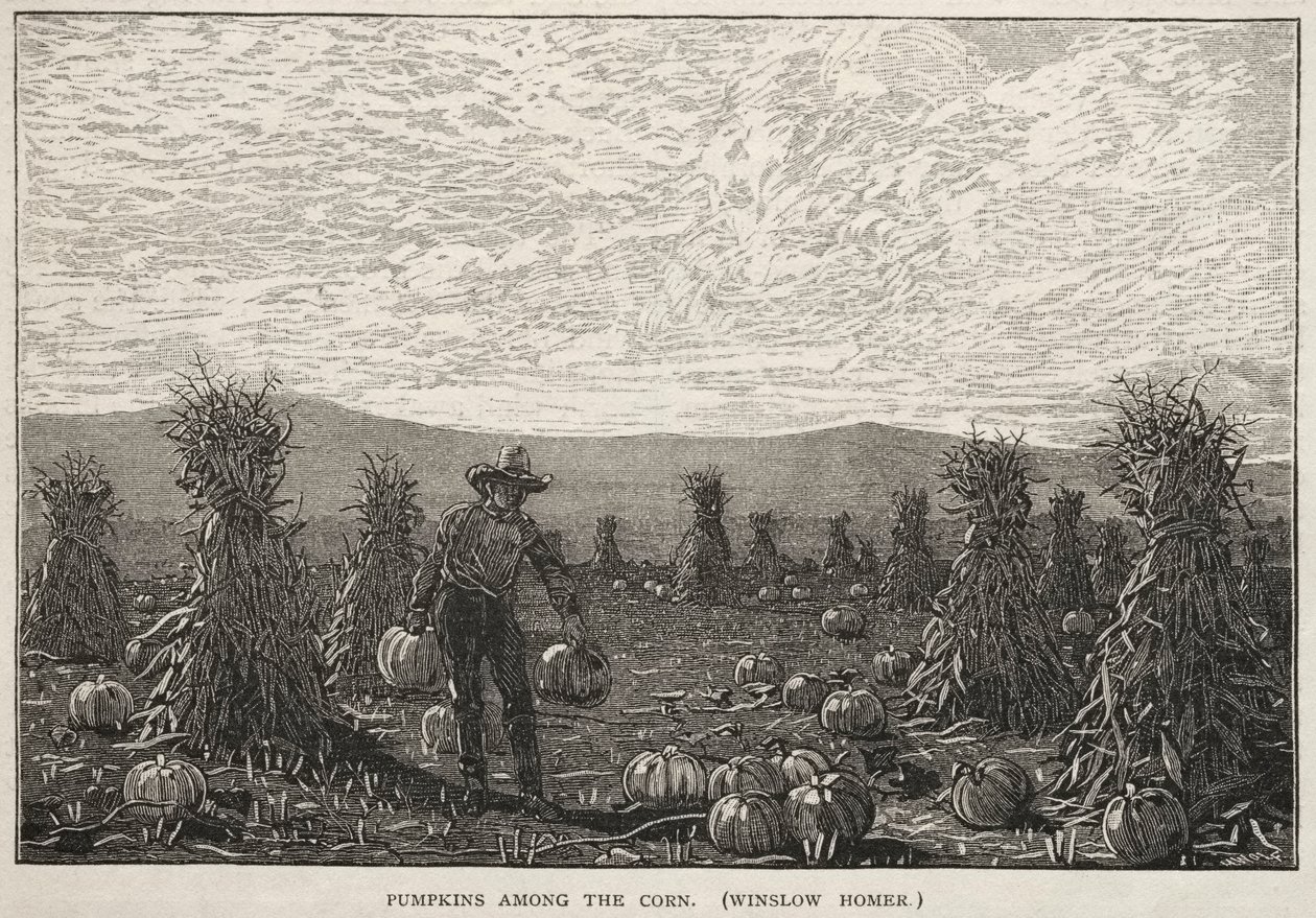 Pumpkins Among the Corn, 1878. av Winslow Homer