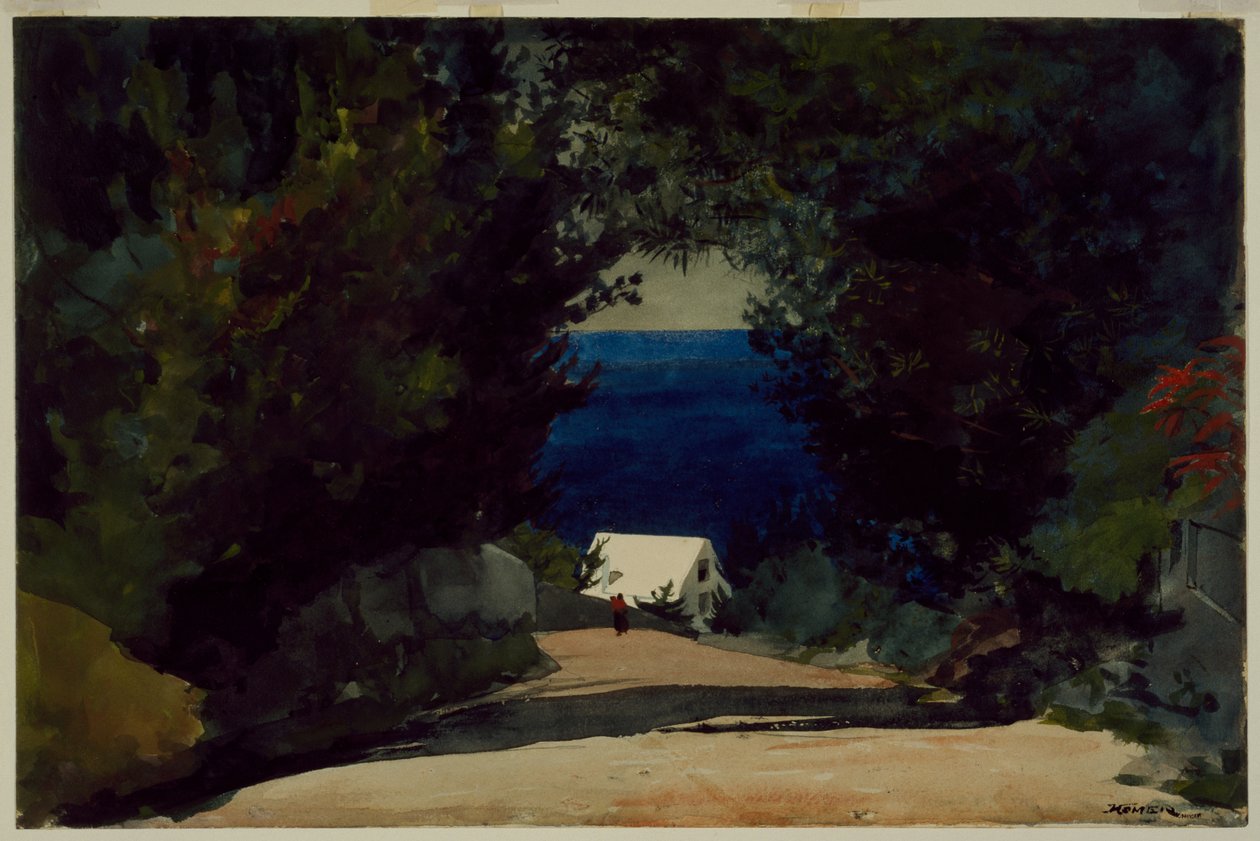 av Winslow Homer