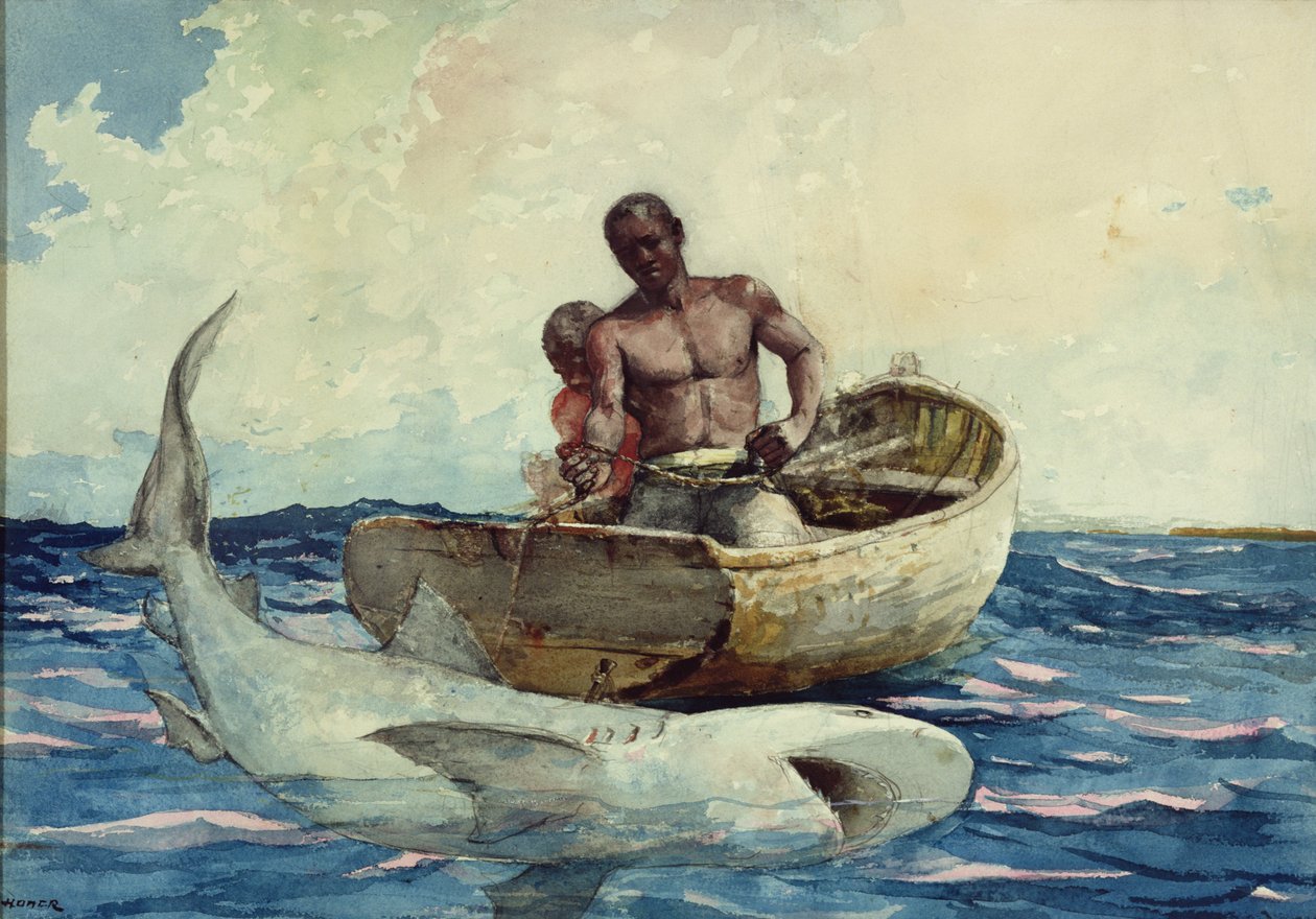 Haifiske, 1885 av Winslow Homer