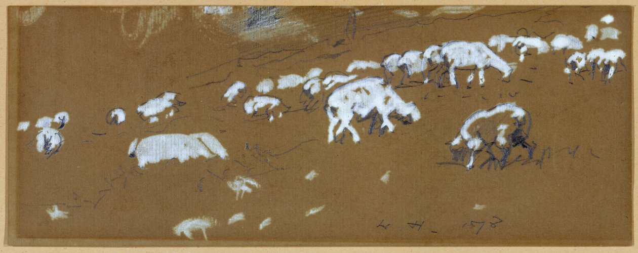 Sau, 1878 (grafitt og hvit gouache på papir) av Winslow Homer