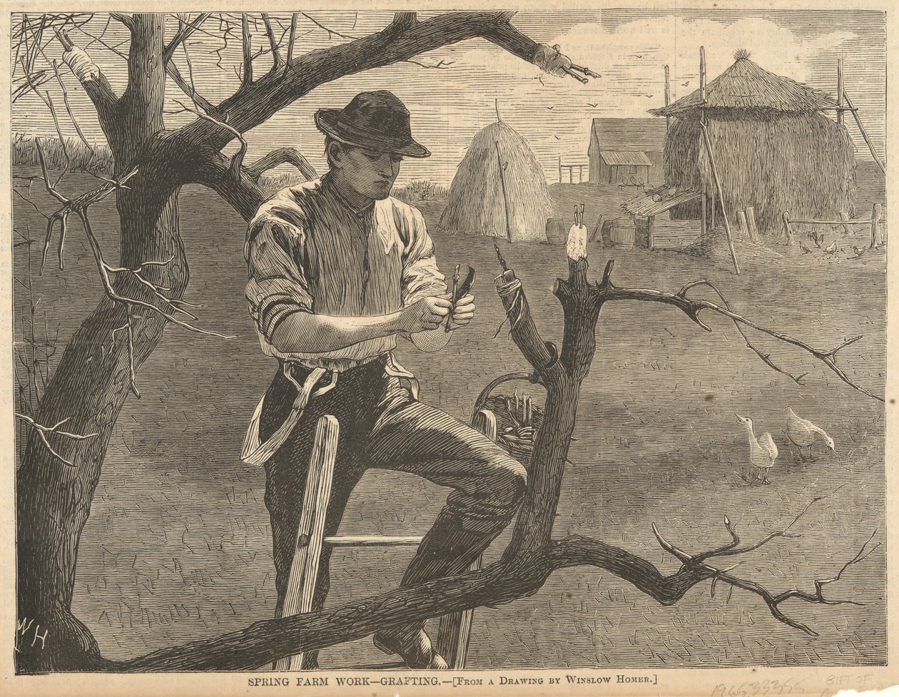 Vårgårdsarbeid av Winslow Homer