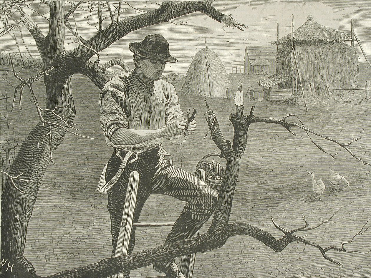 Våronn på gården - poding av Winslow Homer