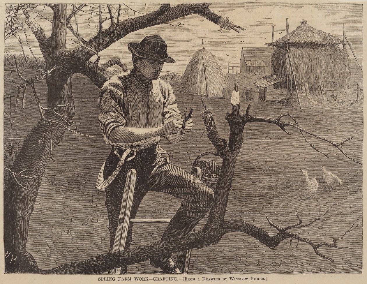 Spring Farm Work - Poding, utgitt 1870. av Winslow Homer