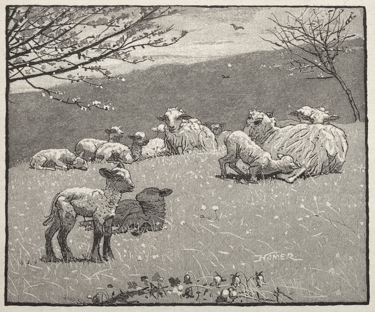 Spring Lamb av Winslow Homer