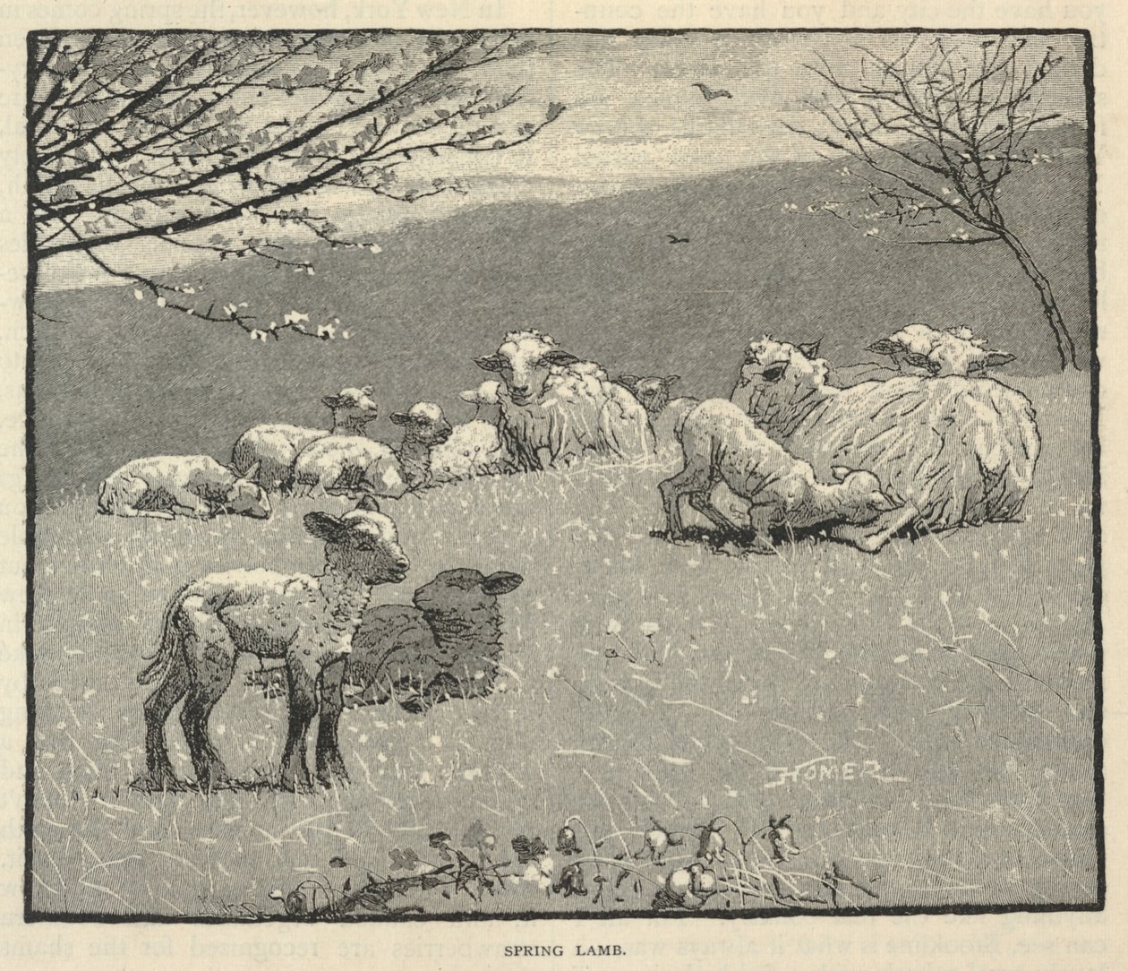  av Winslow Homer
