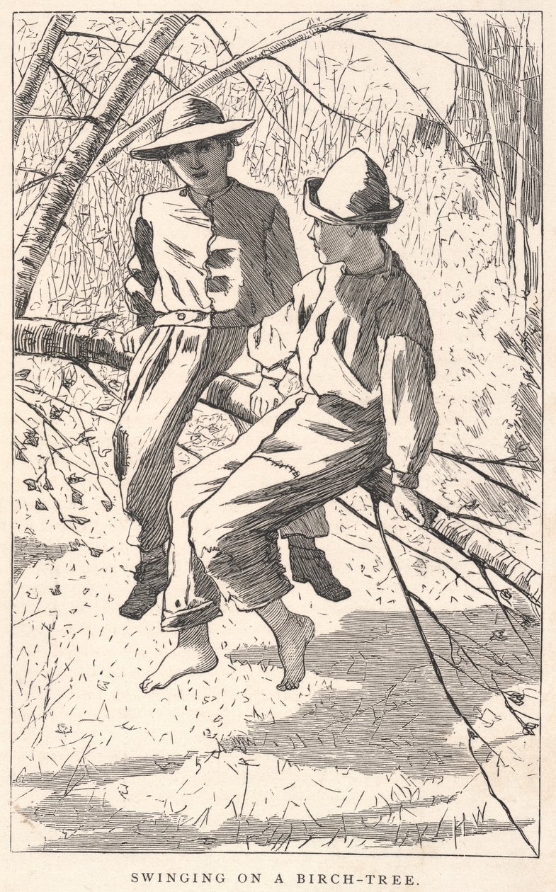  av Winslow Homer