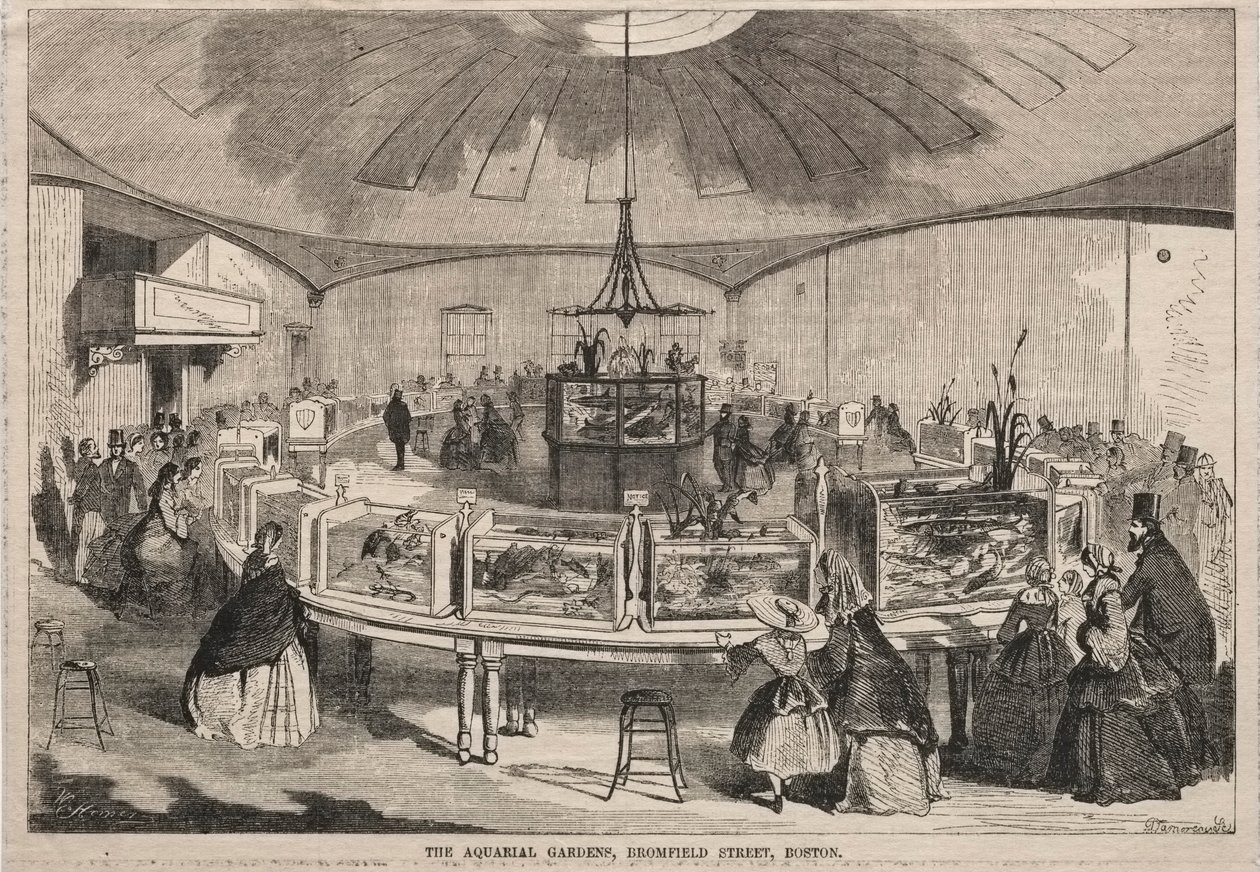 Aquarial Gardens, Bromfield Street, Boston, 1859. av Winslow Homer