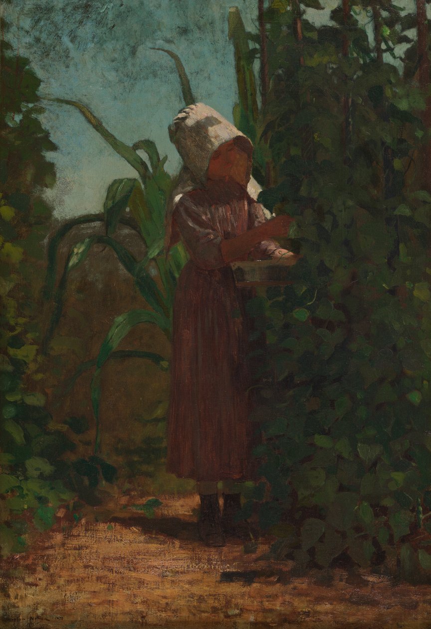 Bønneplukkeren av Winslow Homer