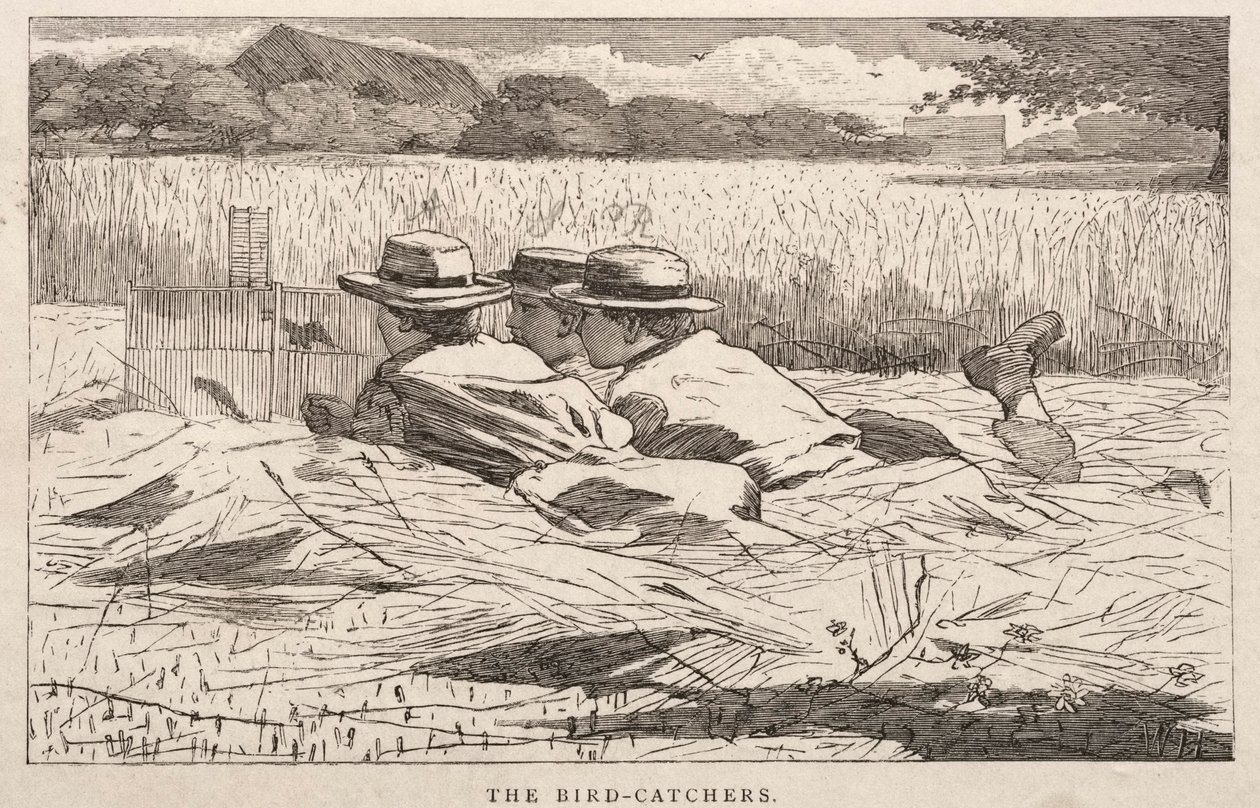 av Winslow Homer