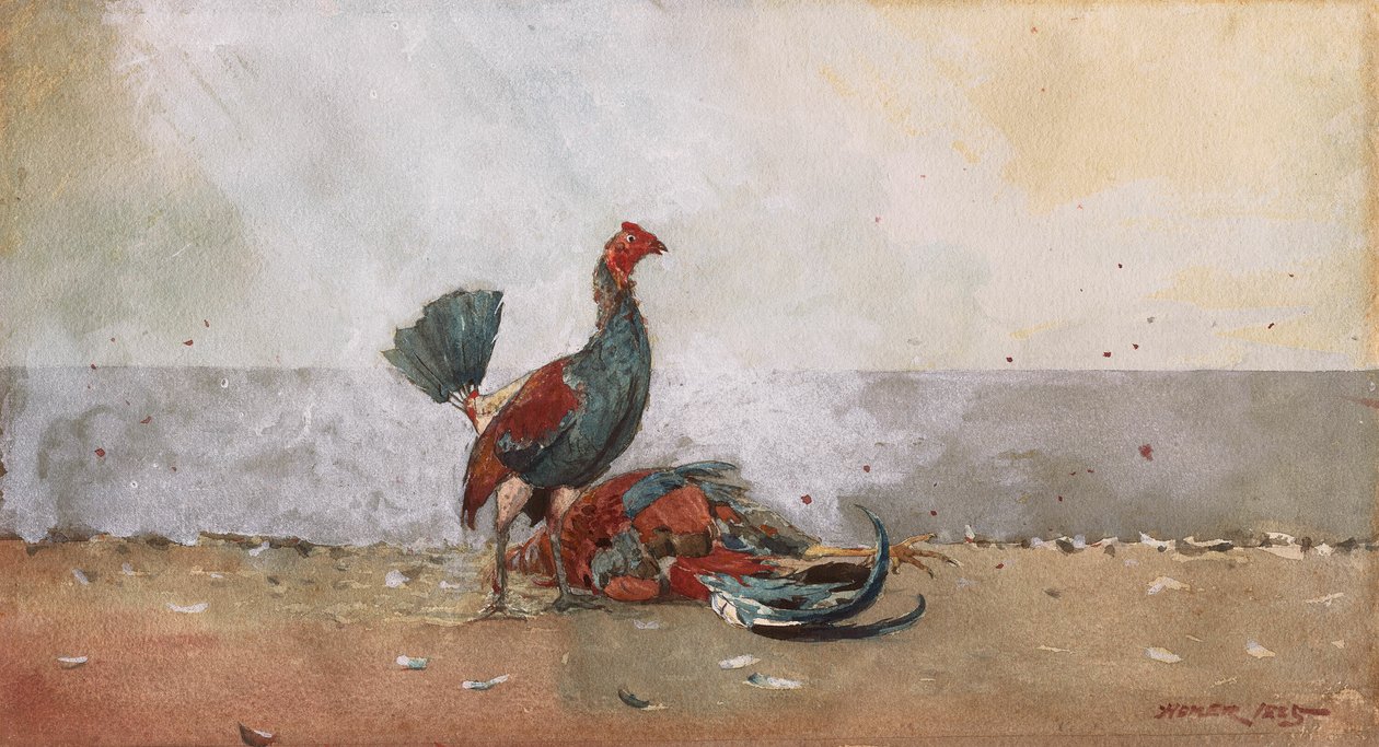 Hanekampen av Winslow Homer