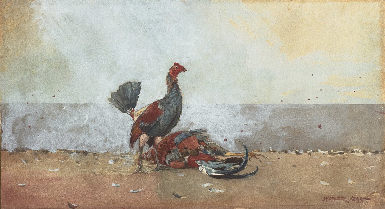 Hanekampen av Winslow Homer