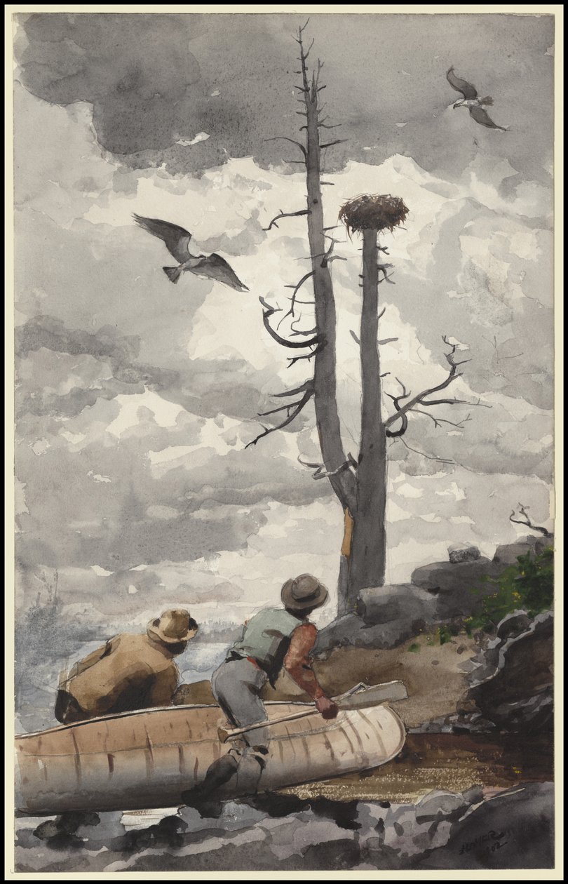 Ørneredet, 1902 av Winslow Homer