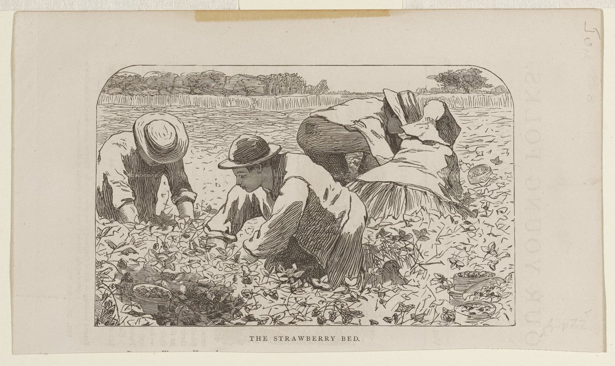 Jordbærbedet av Winslow Homer