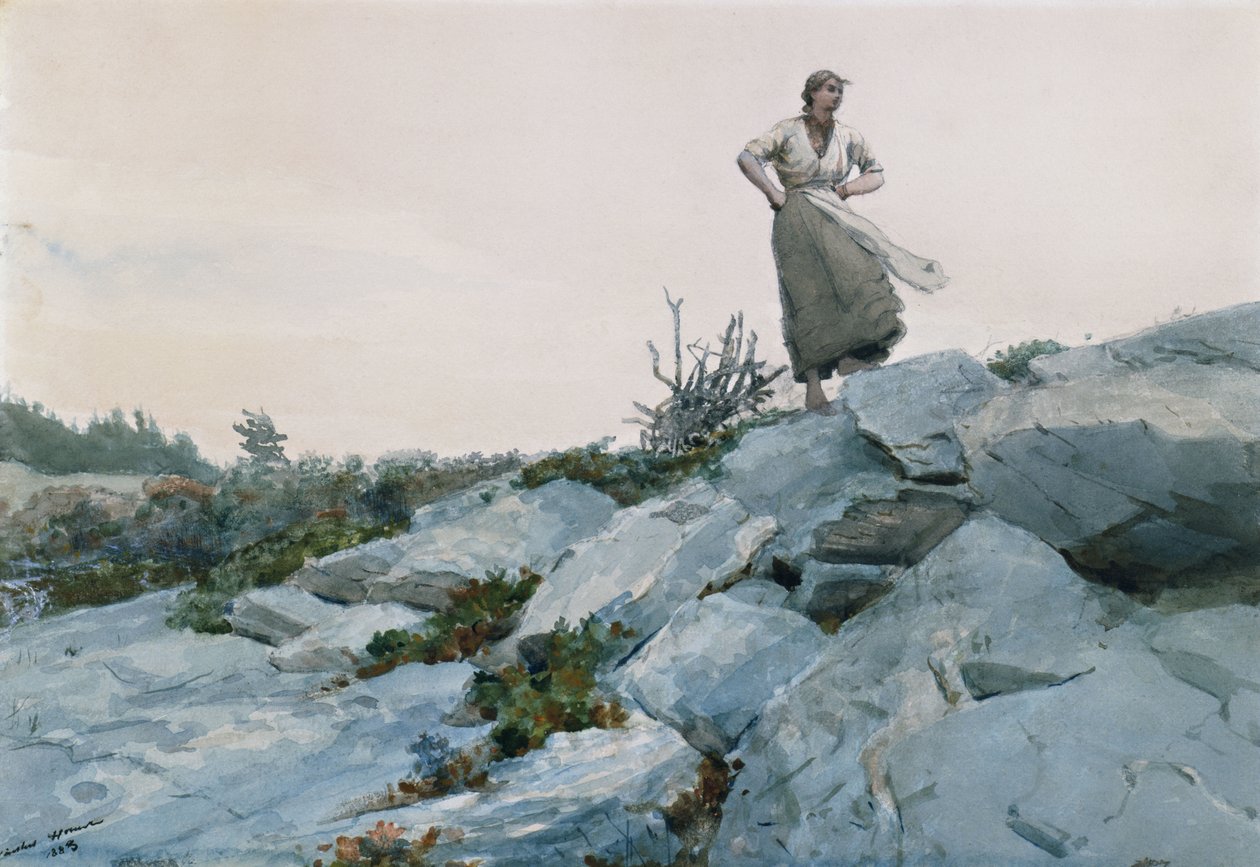 The Twigs Gatherer, 1883 av Winslow Homer