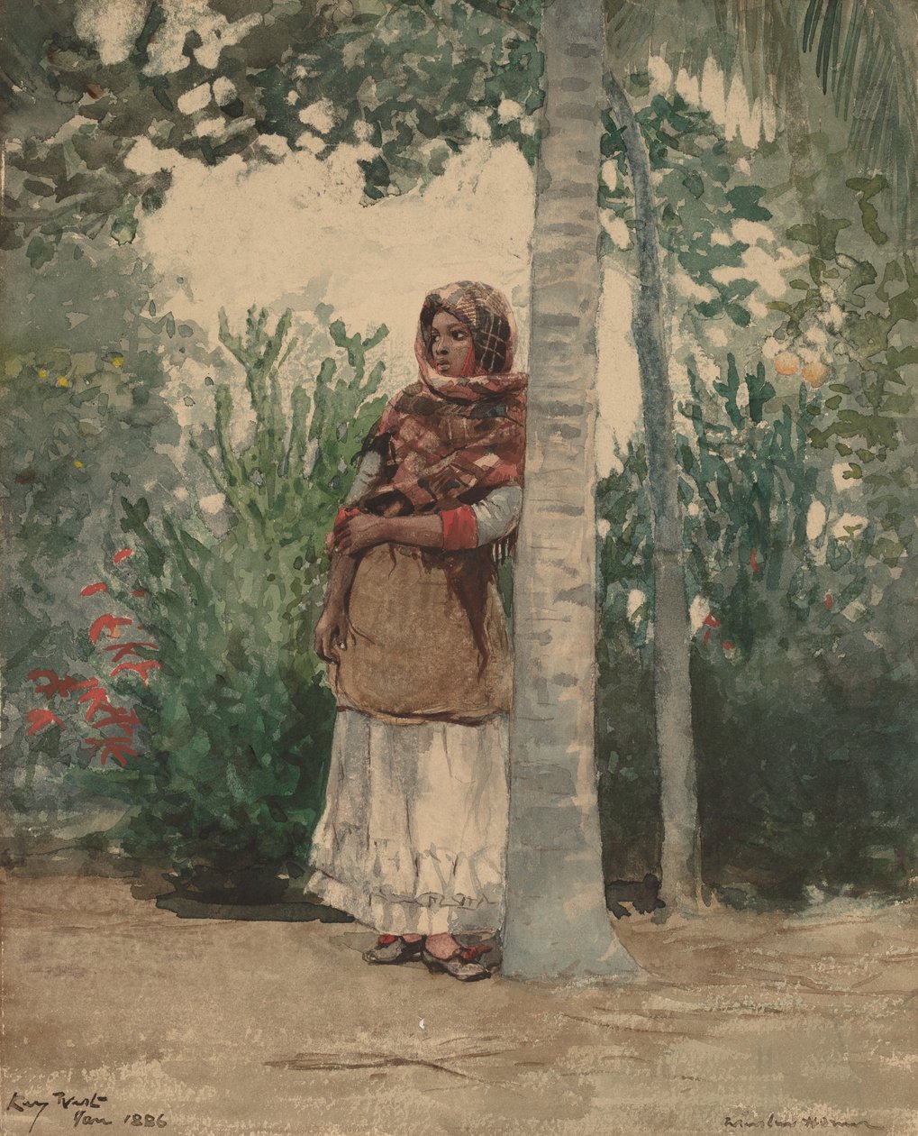Under et palmetre, 1886. av Winslow Homer