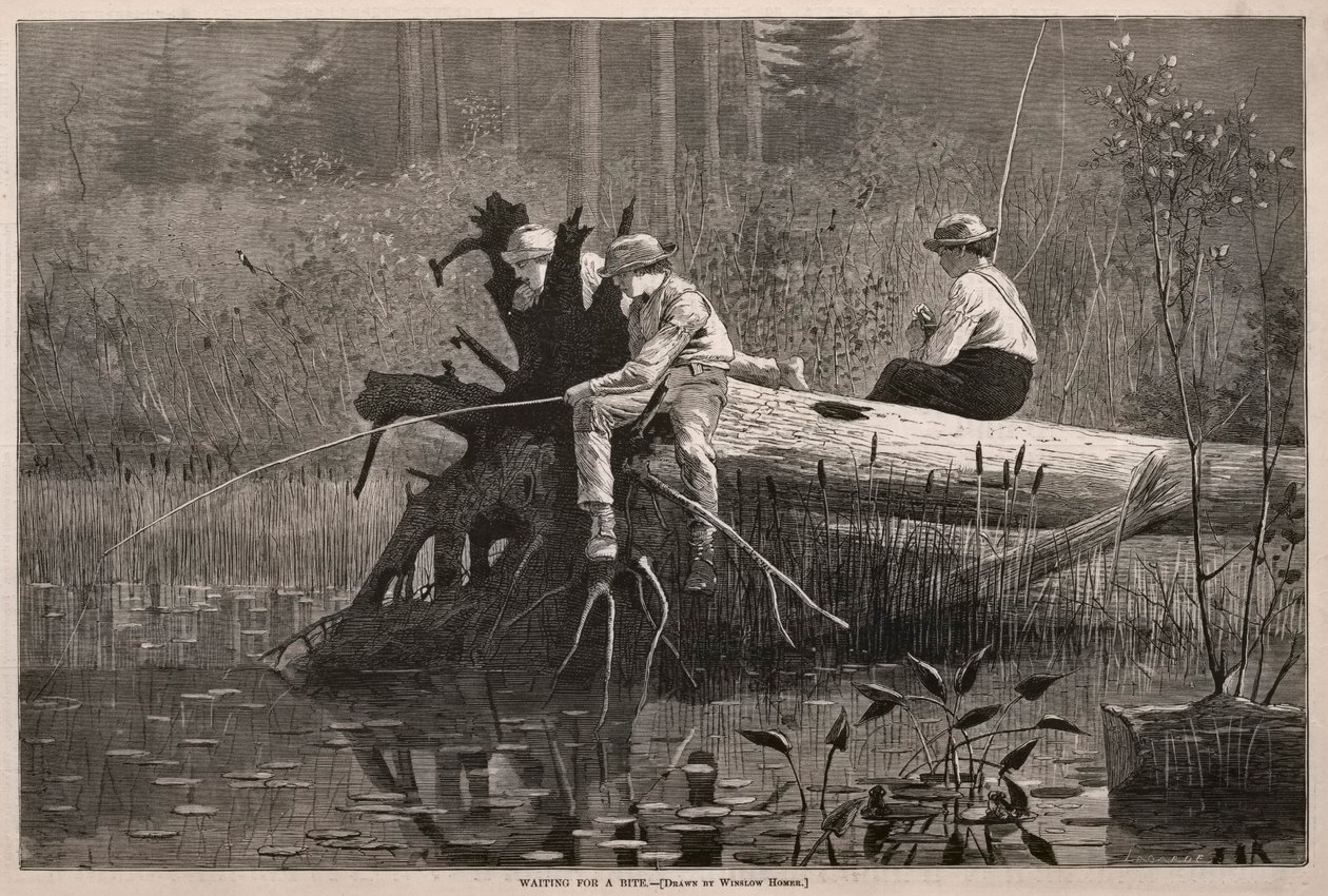  av Winslow Homer