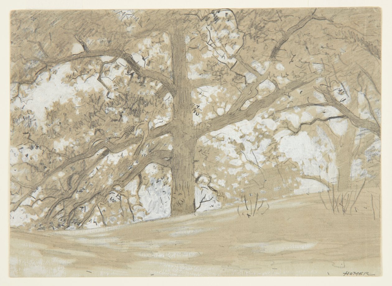 Waverly Oaks av Winslow Homer