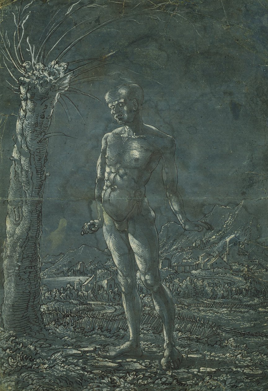 Stående naken mann i et landskap, ca. 1512 (penn og svart blekk med hvit utheving på papir) av Wolf Huber