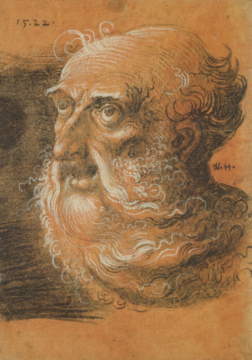 Head Study, 1522 (kull og hvitt kritt på papir) av Wolf Huber