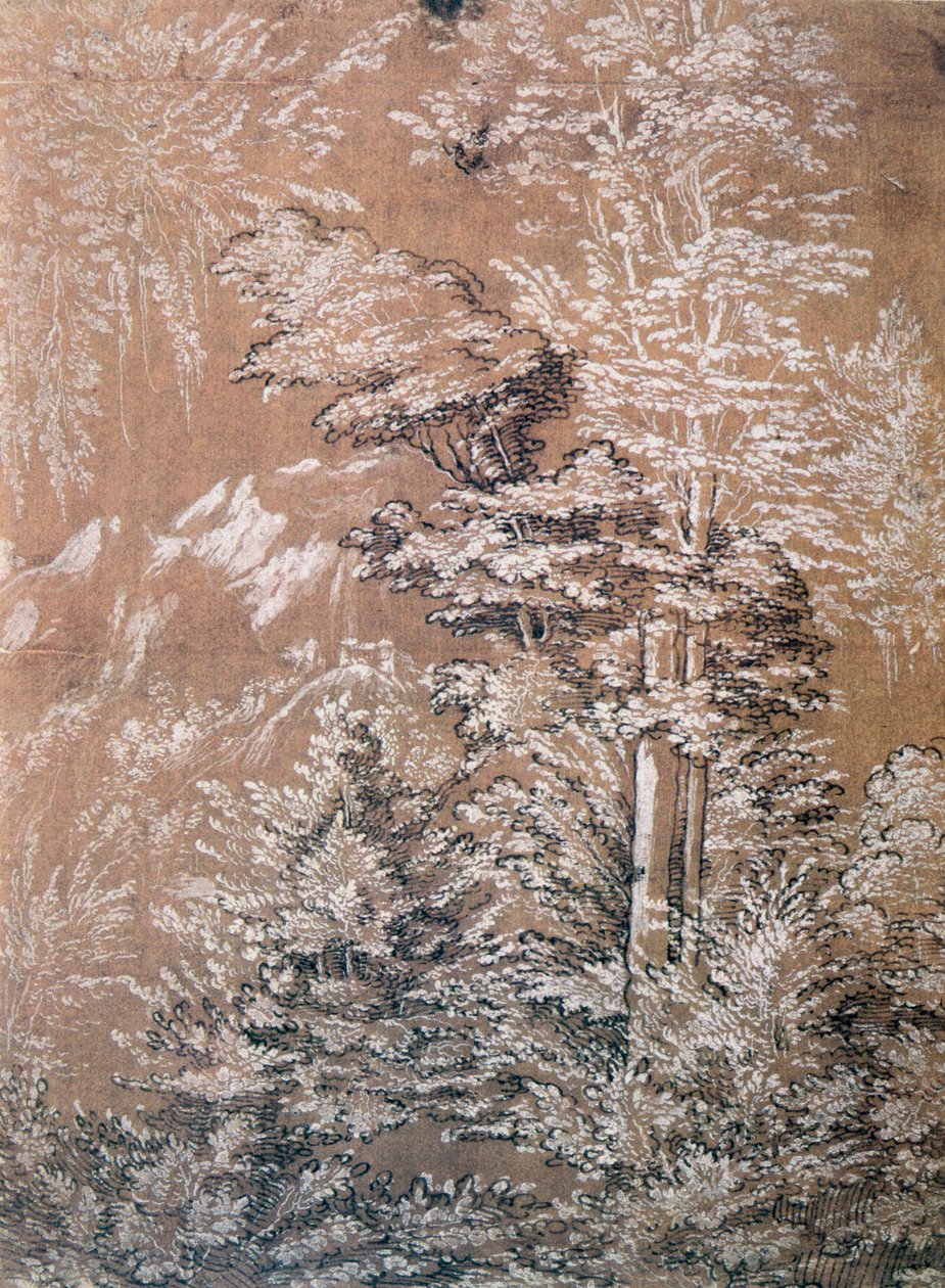 Trestudie, 1519 av Wolf Huber