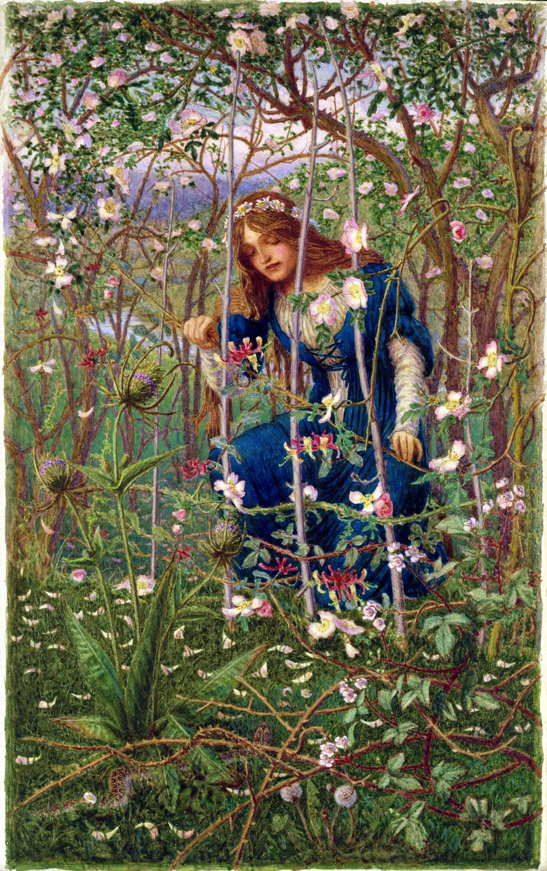 The Briar Wood av Woodbine K. Hinchliff