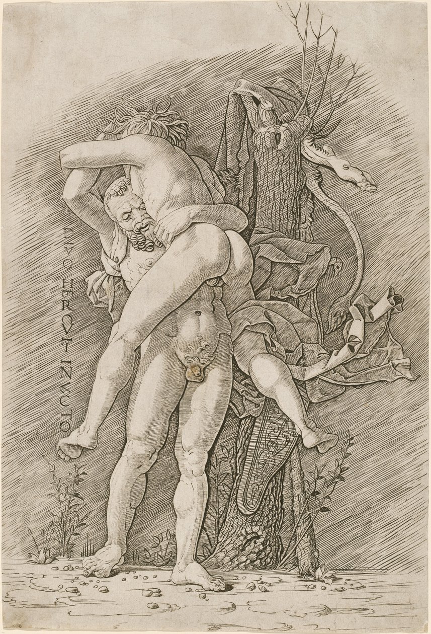 Hercules og Antaeus av Workshop of Andrea Mantegna