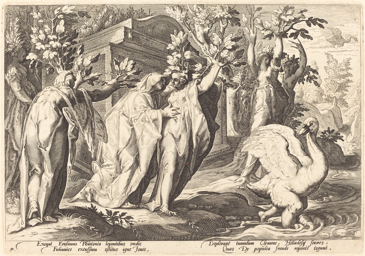 Phaetons søstre endret seg til poppel, Cygnus til en svane av Workshop of Hendrick Goltzius, after Hendrick Goltzius