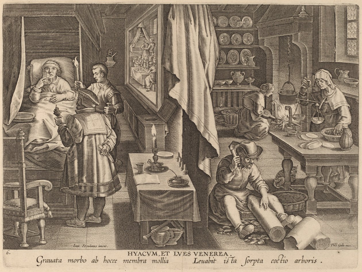 Guaiacum og venerisk infeksjon av Workshop of Philip Galle after Jan van der Straet