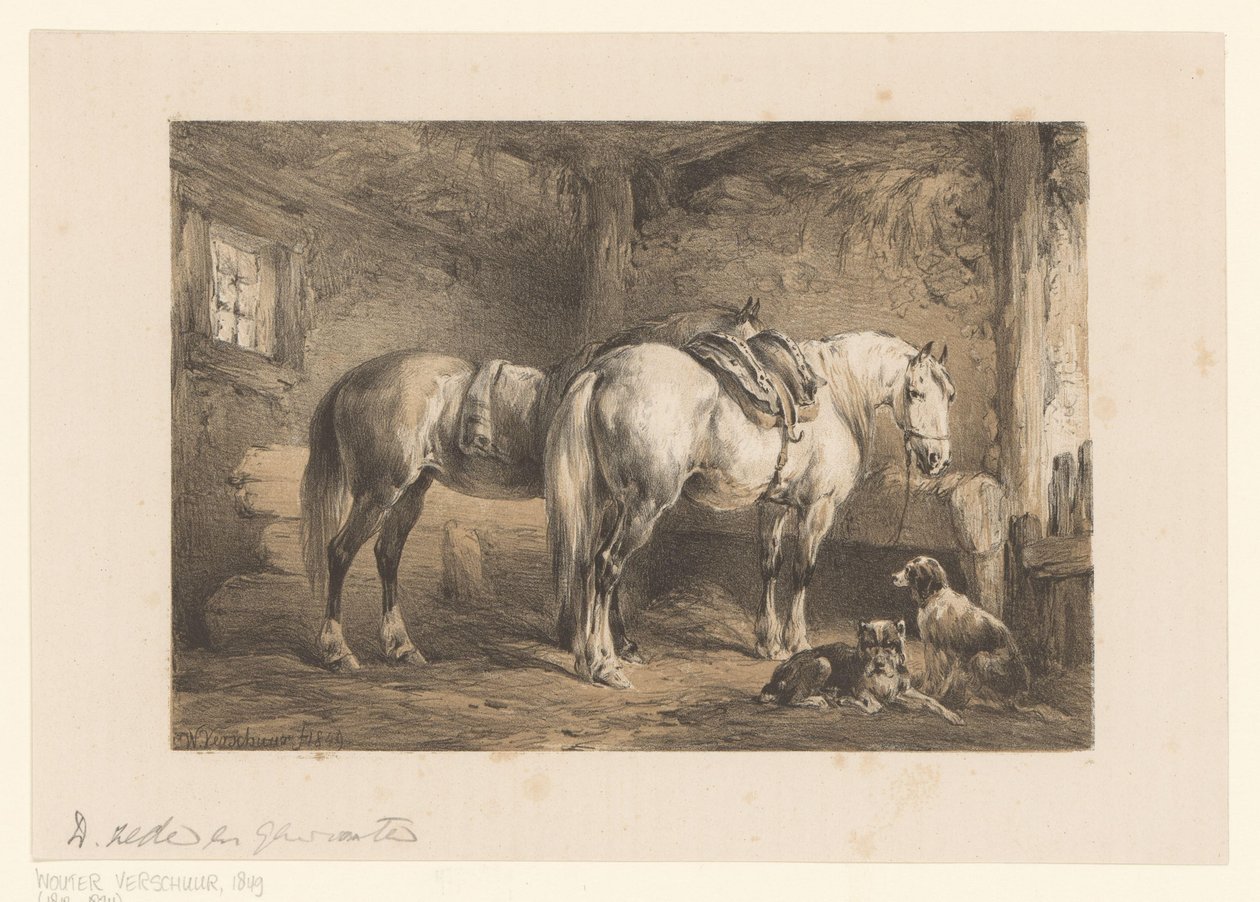 To hester og hunder i en stall av Wouter  Verschuur