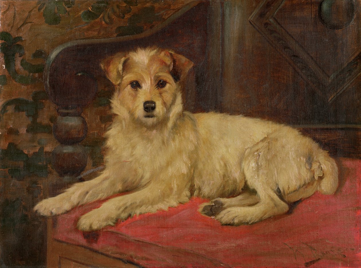 En terrier på sofa av Wright Barker