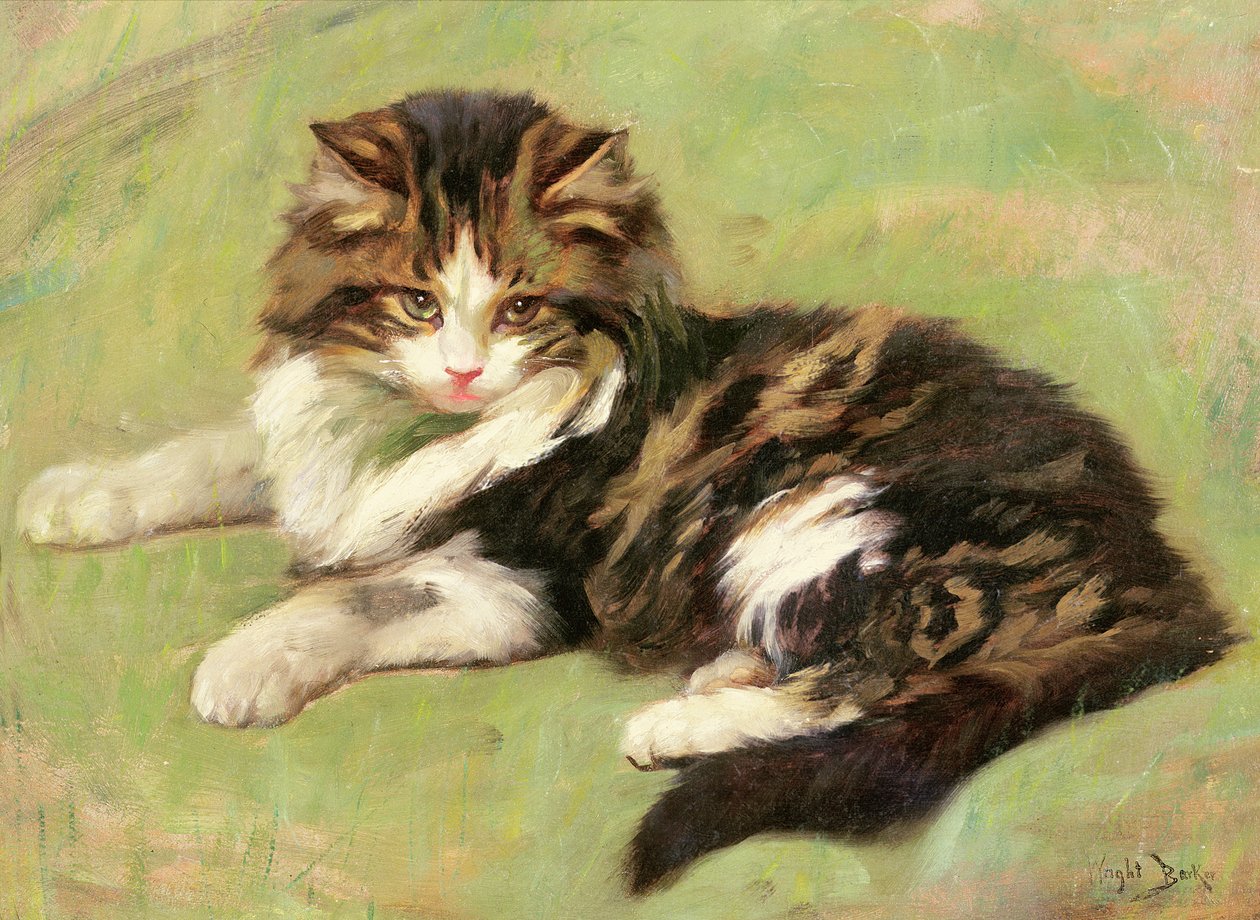 I ro av Wright Barker