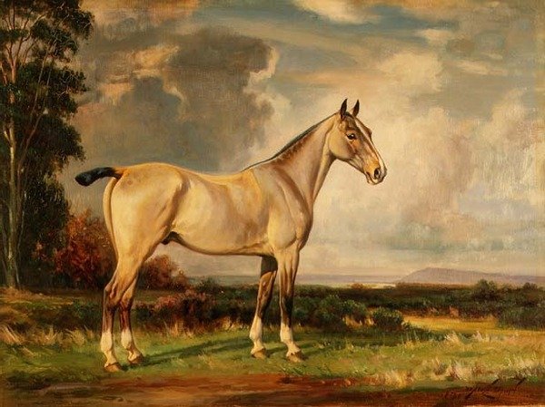 Portrett av påfugl av Wright Barker