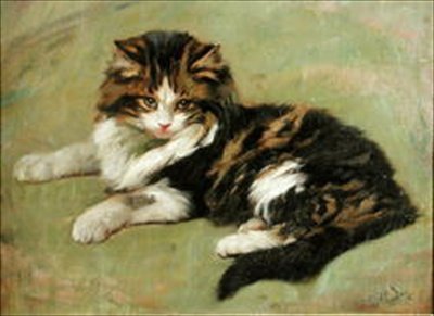 Studie av en katt (olje om bord) av Wright Barker