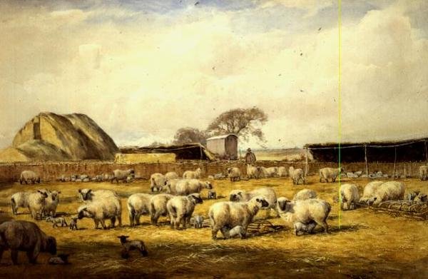 Lammebørn, Hungerford av Wycliffe Egginton
