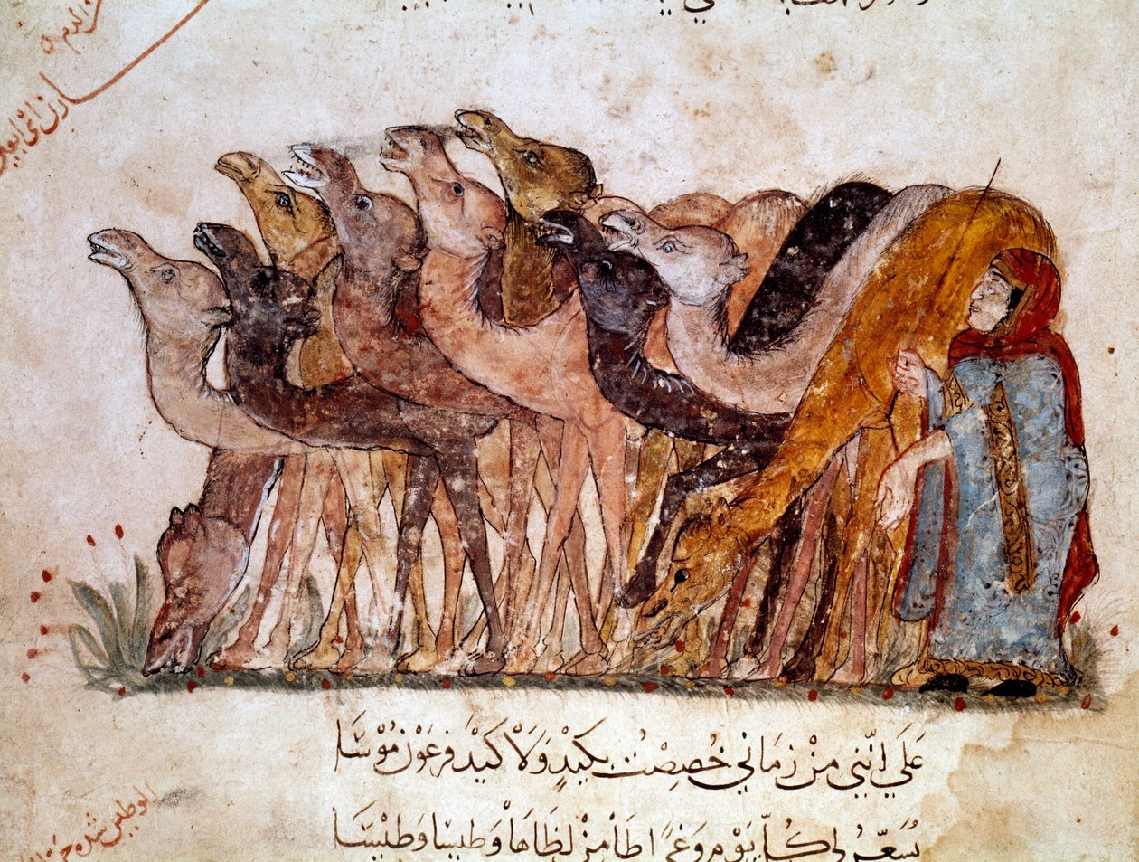 En gruppe kameler og kameler, campingvogn i ørkenen. Side av "" Maqamat"" (Seances), pikaresk dikt fra det 11. århundre av den arabiske poeten Abu Mohammed al-Kasim ibn Ali Hariri (eller Al-Hariri eller Al Hariri) (1054-1122) illustrert av Al-Wasiti (al -W av Yahya ibn Mahmud Al Wasiti