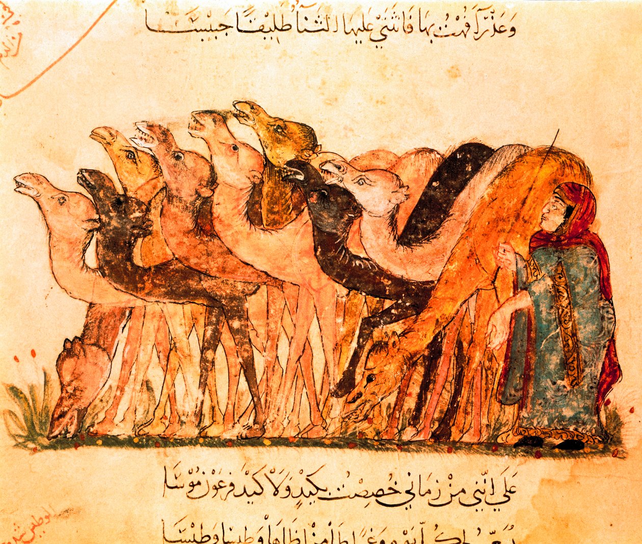 En gruppe kameler og kamelgjeteren, fra "Maqamat" av Yahya ibn Mahmud Al Wasiti