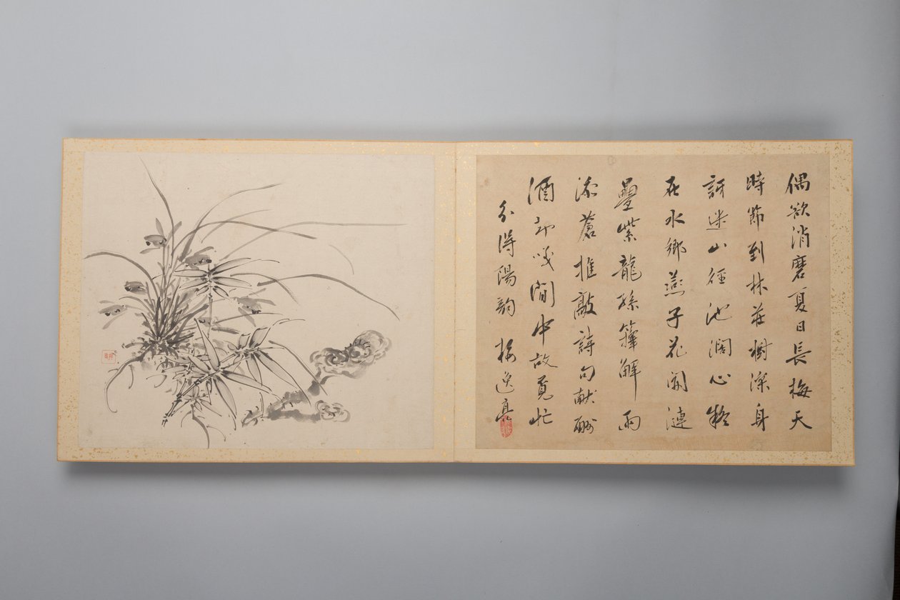 Raffinert eleganse i de fire årstidene Shiji seiga, Album of Flower Paintings, 1844. av Yamamoto Baiitsu