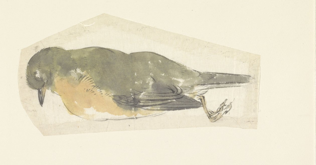 død robin av Yamamoto Shinryo Baiitsu