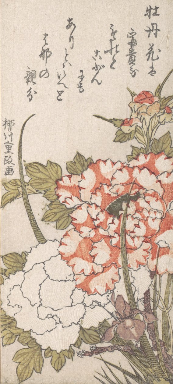 Peonies and Iris, 18th-19th century.    1147076   no       norwegian Successfully Translated  Original: Voyages pittoresques et romantiques dans lancienne France. Franche-Comté: Source du Lison Translat: Voyages pittoresques et romantiques dans l