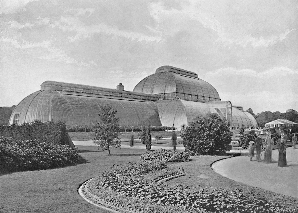 The Great Palm House, Kew Gardens, c1896 av York and Son