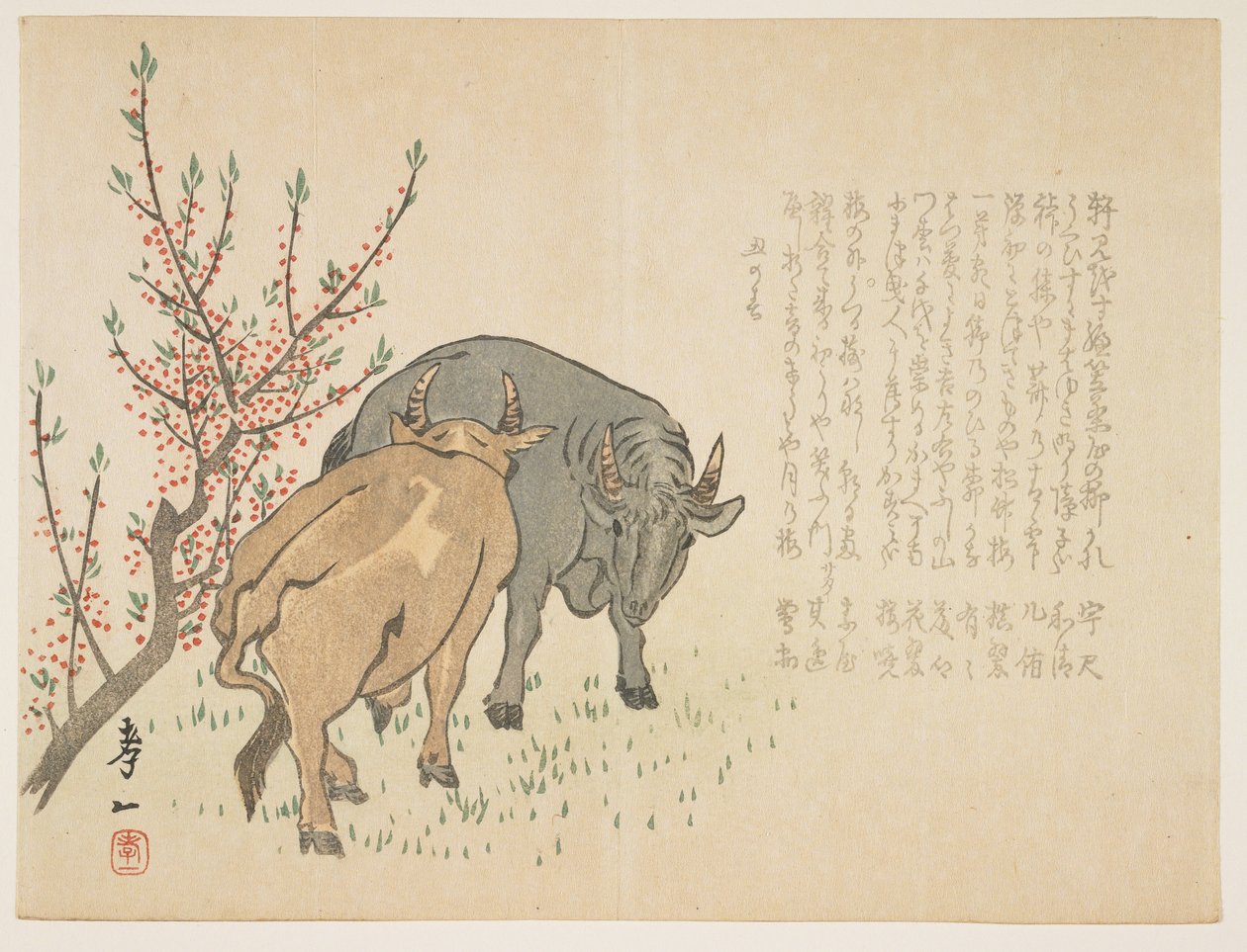 Oxen, januar 1853 (farget treblokktrykk) av Yoshimura Kiitsu