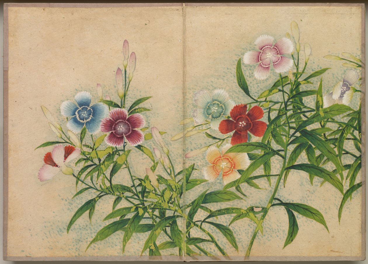 Desk Album: Flower and Bird Paintings Pinks, 1700-tallet. av Zhang Ruoai