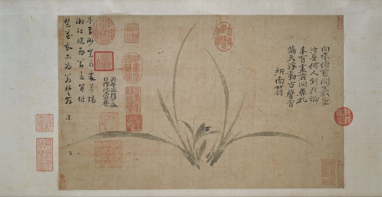 Orkide av Zheng Sixiao