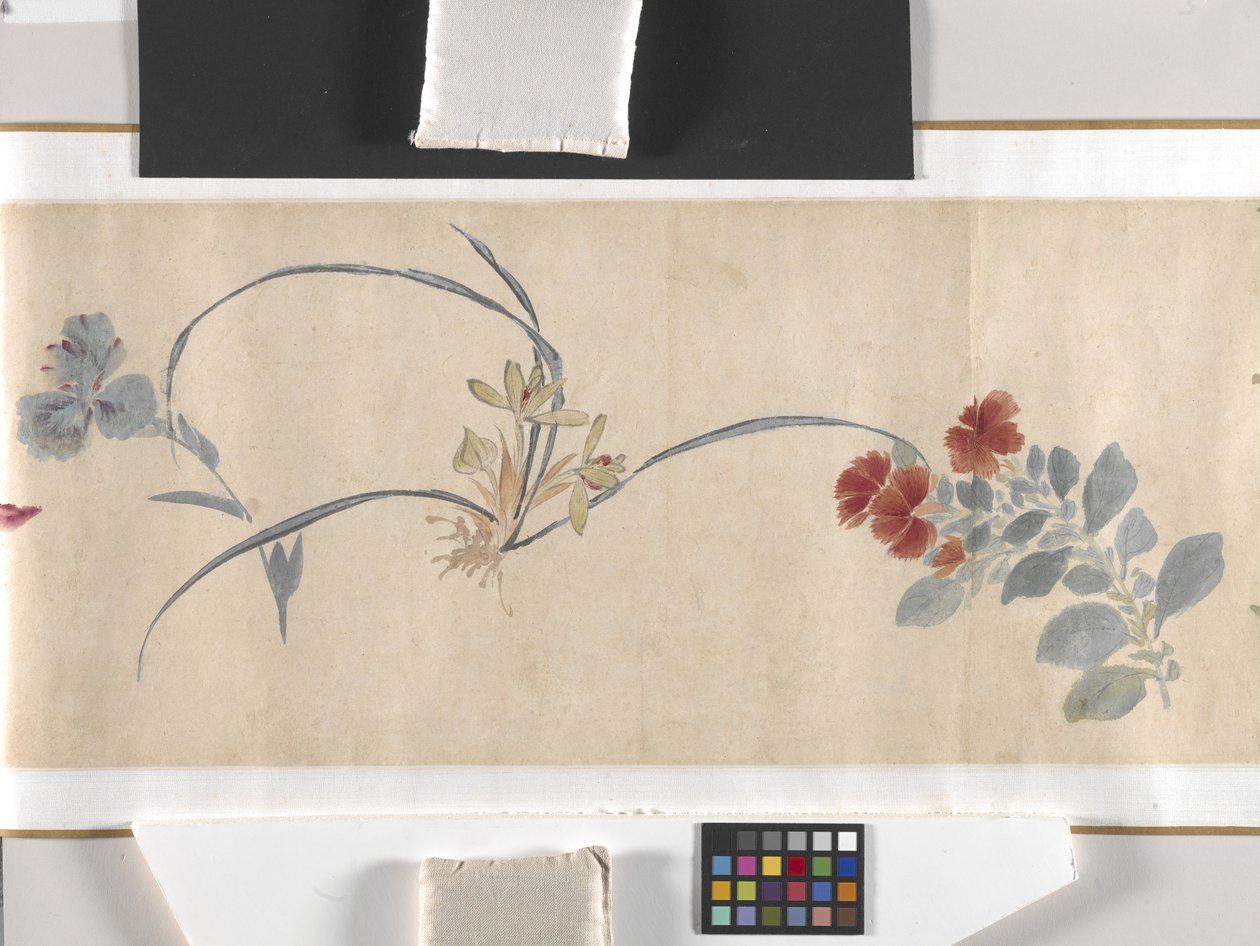 Fargede blomster av Zhimian Zhou