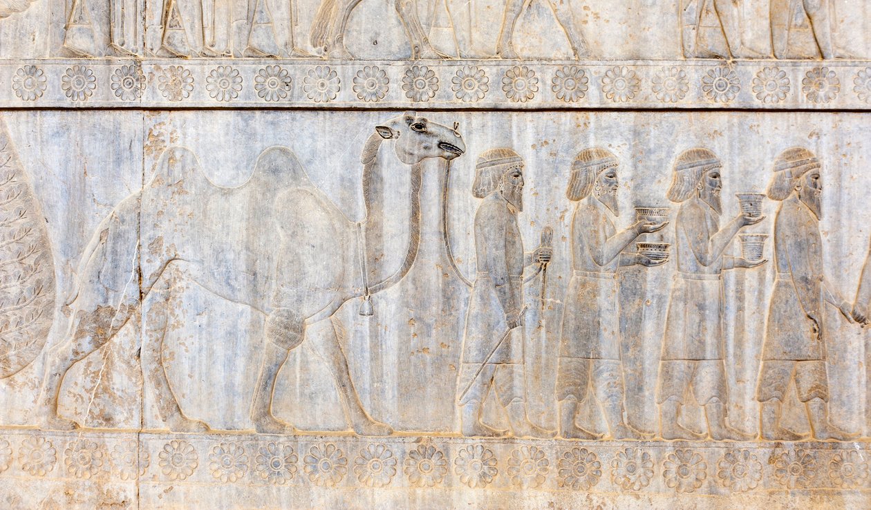 Gammelt relieff av Achaemenidene; delegasjon av parthierne med kamel; Apadana-palasset; arkeologisk funnsted; den gamle persiske byen Persepolis; UNESCOs verdensarvliste; Fars-provinsen; Iran; Asia av Frederick (attr. to) Barnard