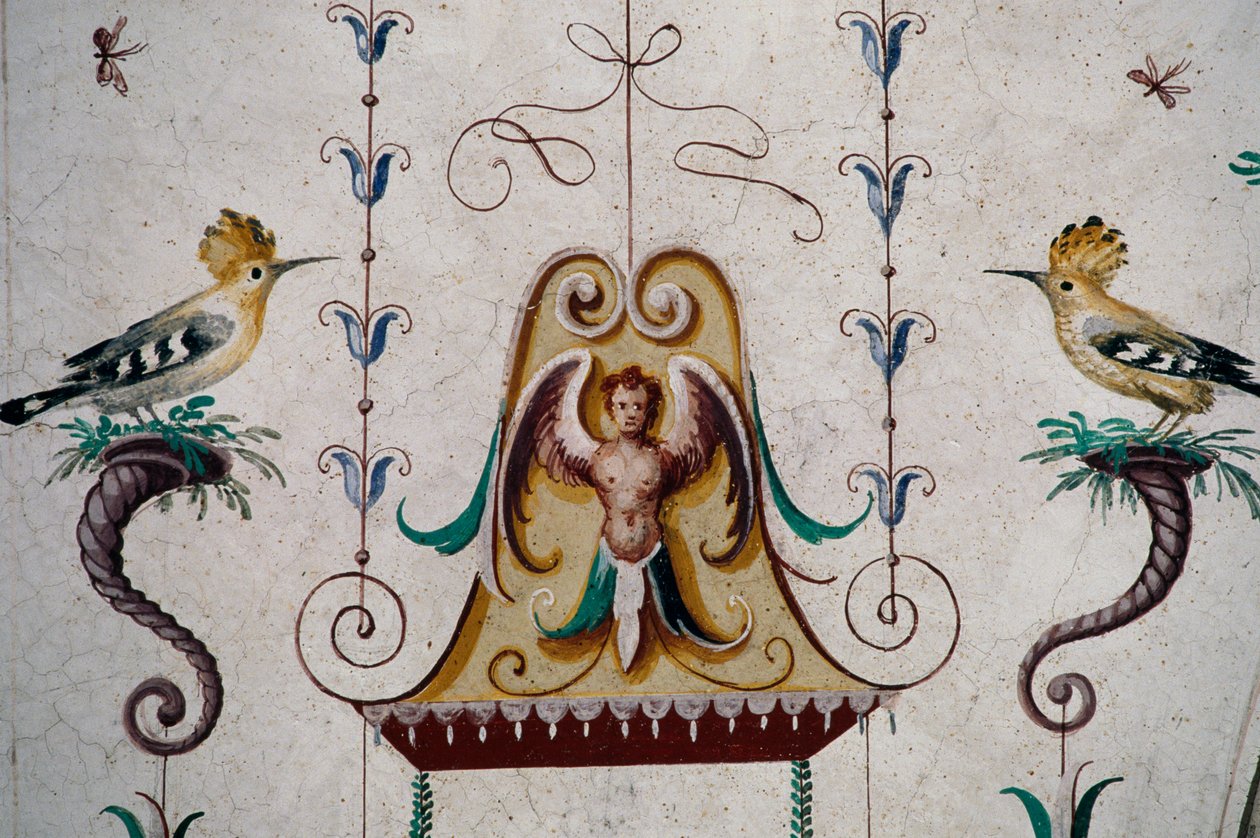 Fugler, detaljer fra fresker i hvelvet i Grotesque Hall (1500-tallet), Manta Castle, Saluzzo, Piemonte, Italia av Georg Carl Heinrich Dollmann