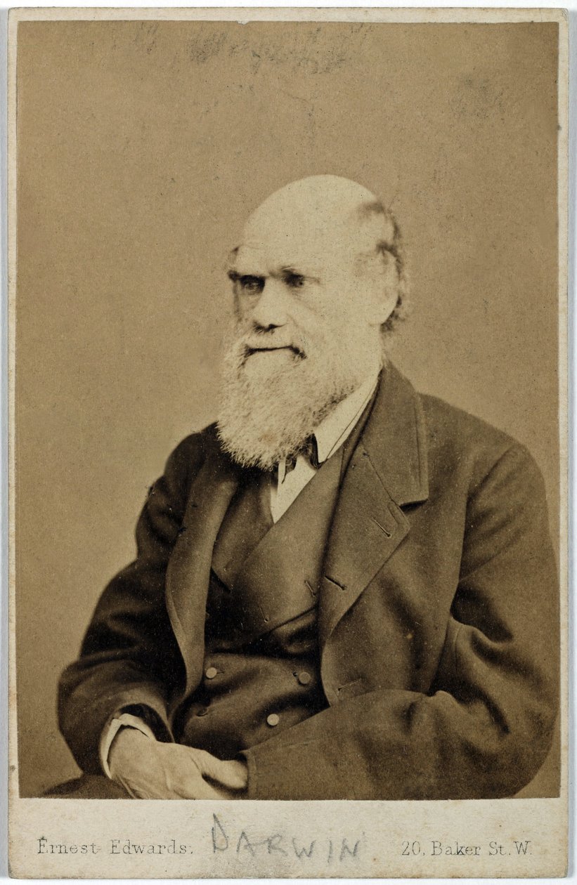 Charles Darwin, engelsk naturforsker, ca 1870-tallet av Ferdinand Georg Waldmuller